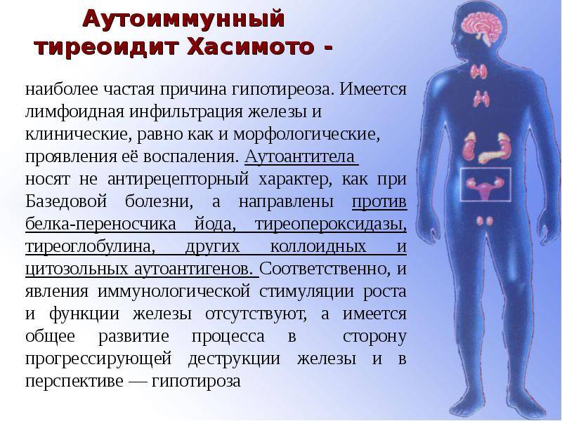 Диета При Аутоиммунном Тиреоидите Щитовидной