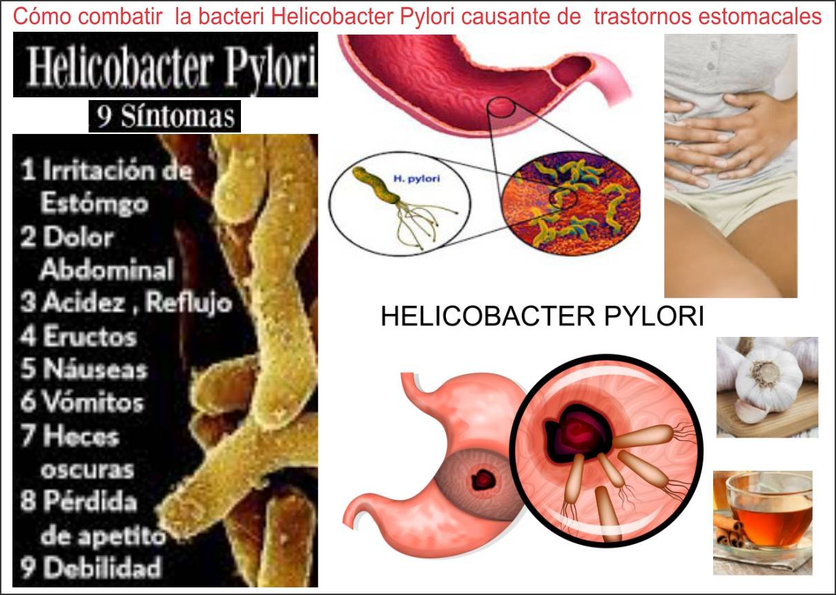 Helicobacter Pylori Диета При Лечении