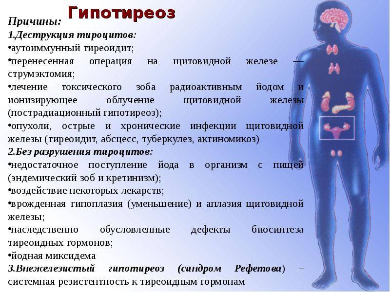 Гормоны Щитовидной Железы Диета