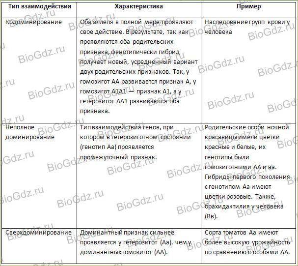 Аллельные гены. определение, виды взаимодействия и влияние на наследственные признаки :: syl.ru