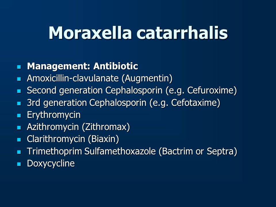 Моракселла катаралис: лечение бактериальных заболеваний