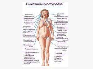 Гипотиреоз симптомы у женщин в менопаузе лечение препараты | целебные свойства растений
