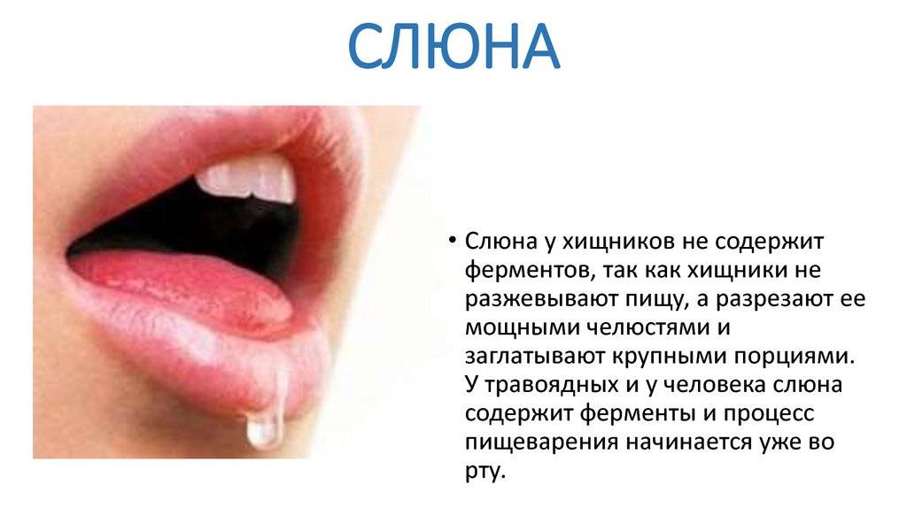 Вязкая слюна во рту - причины: почему она густая и липкая? | spacream.ru