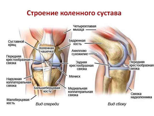 Причины болей в коленях и эффективное лечение заболеваний
