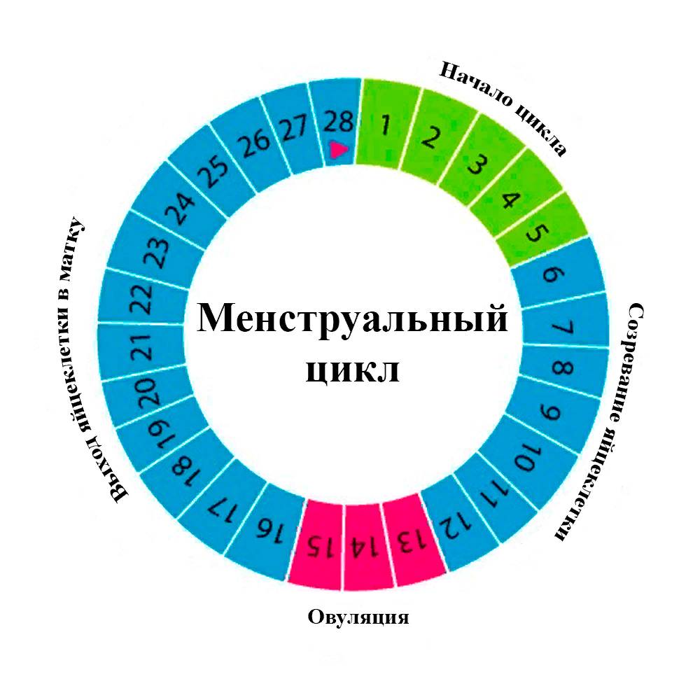 Кровь от овуляции до месячных - причины, когда считается нормой, лечение - ovulyacia.ru