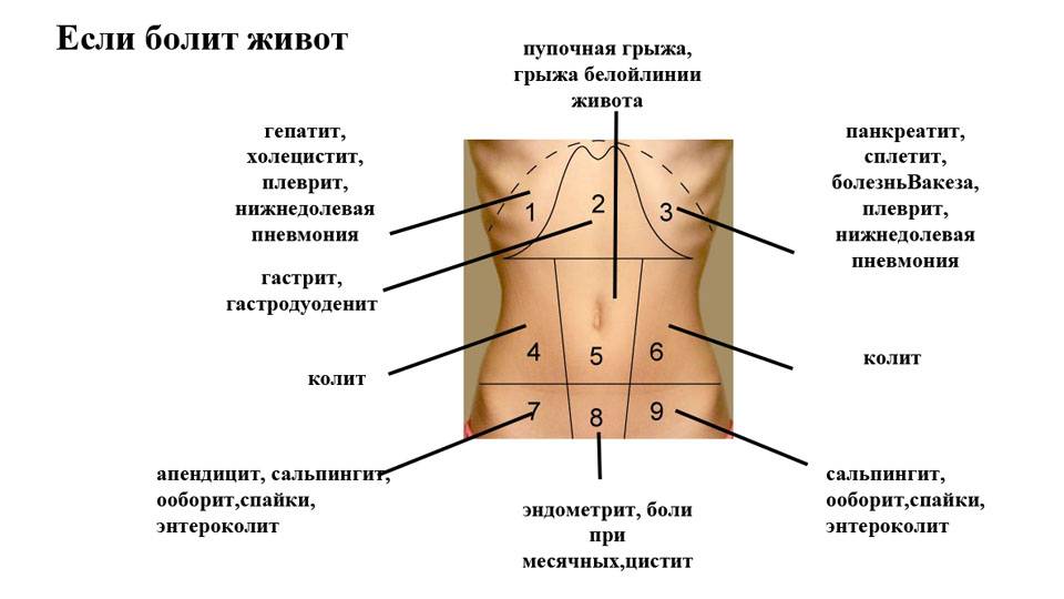 Боли в боках и пояснице: отдающие в области спины сзади выше и ниже на уровне лопаток - болит и ноет в районе позвоночника сбоку с двух сторон ближе к пояснице