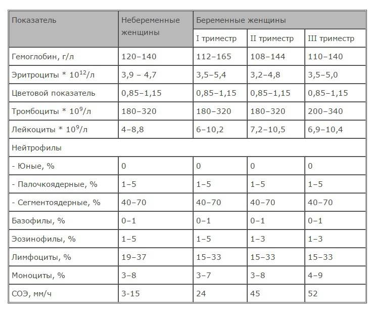 Общий анализ крови при беременности: норма в таблице и расшифровка показателей