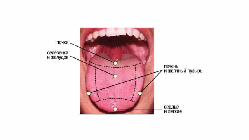 Красные пупырышки и прыщики на языке: почему появляются у горла и корня языка, как лечить