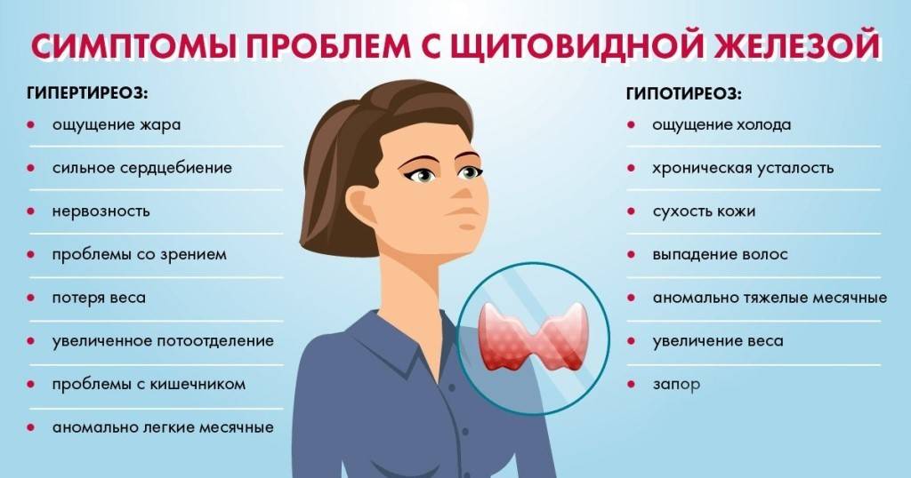 Щитовидная железа: заболевания, симптомы, лечение сопутствующих недугов