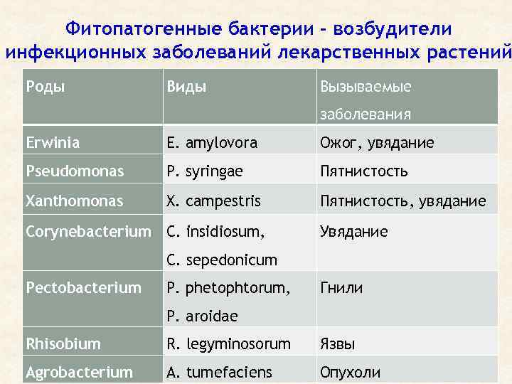 Заболевания вызываемые бактериями у человека. таблица, список, симптомы и лечение
