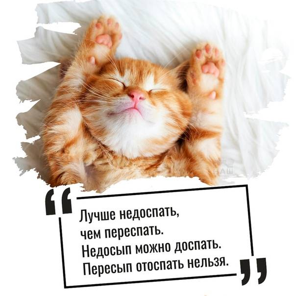 Всемирный день сна отмечают в российской федерации 13 марта 2020 года