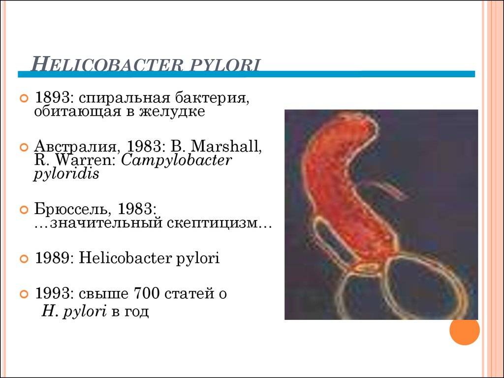 Бактерии в желудке хеликобактер симптомы и лечение. Хеликобактер пилори язвенная болезнь. Бактерия хеликобактер пилори симптомы. Хеликобактер пилори 1983. Хеликобактер пилори в кислой среде.