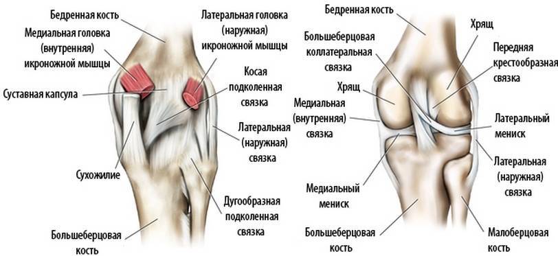 Болит колено с внешней стороны при сгибании | спина доктор