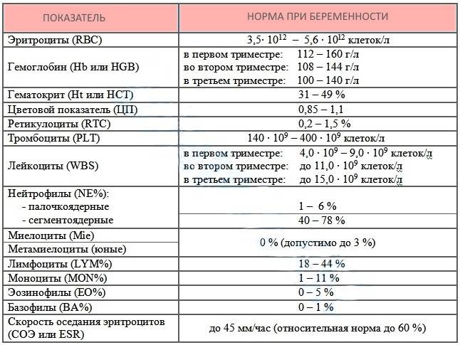 Таблица нормы анализов крови у женщины таблица