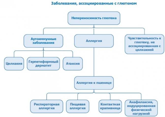 Непереносимость глютена: как я узнаю, есть ли она у меня?
