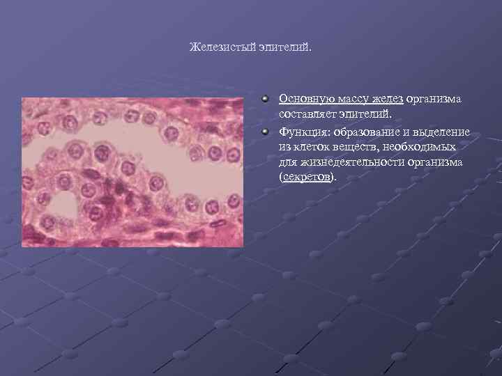 Гистология.mp3 - эпителиальные ткани (часть 3)