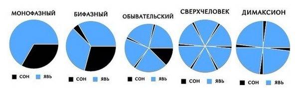 Разный режим. Полифазный сон режимы. График полифазного сна. Бифазный сон график. Димаксион режим сна.