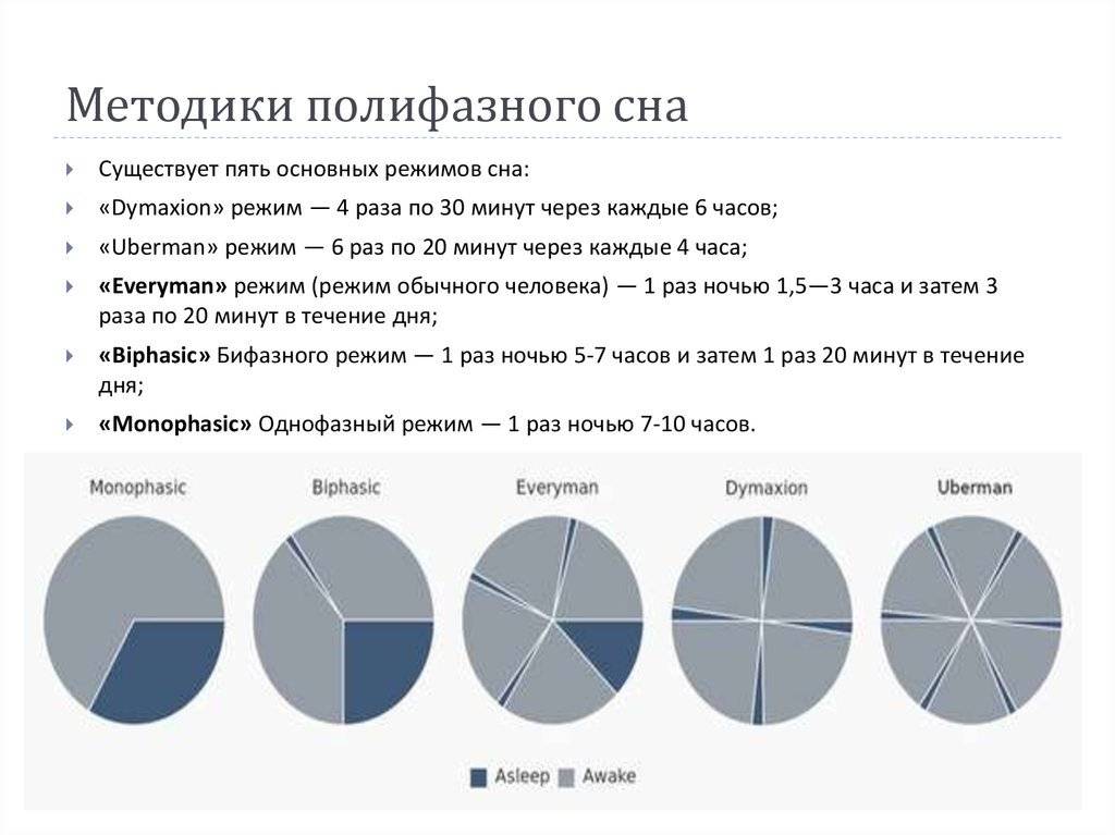 3 раза в течение дня. Методики полифазного сна. Полифазный сон Никола Тесла. Димаксион режим сна. Леонардо да Винчи полифазный сон.