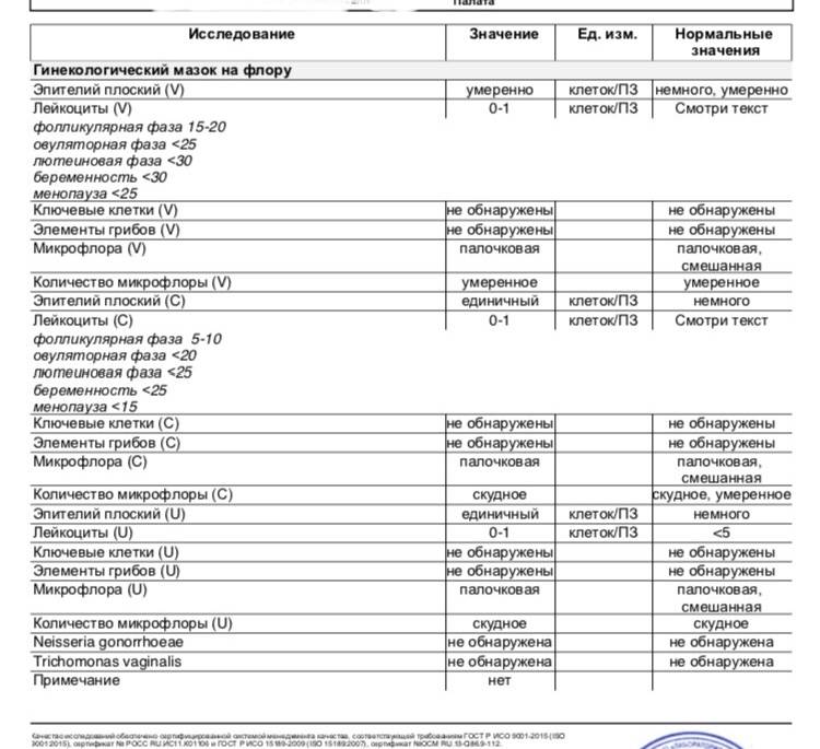 Мазок на флору у женщин. норма, таблица, расшифровка лейкоциты, эритроциты, что показывает при беременности