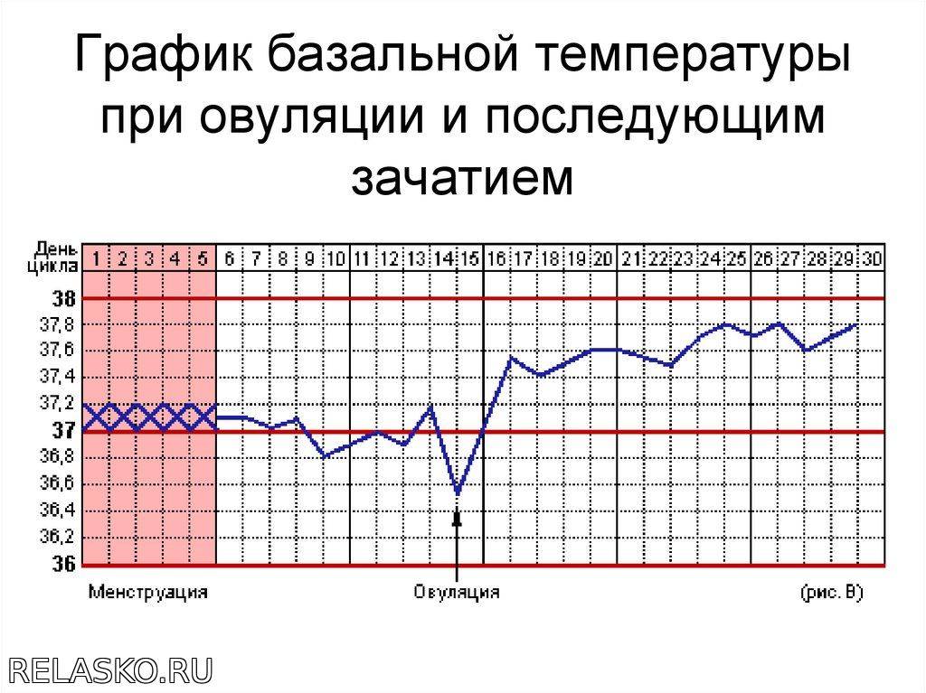 4 5 день цикла. График базальной температуры норма при беременности. График базальной температуры при беременности после овуляции. График БТ при беременности с овуляцией. Измерение базальной температуры для определения овуляции график.