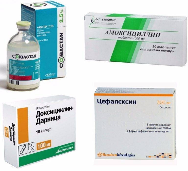 Лечение пиелонефрита лекарства и препараты