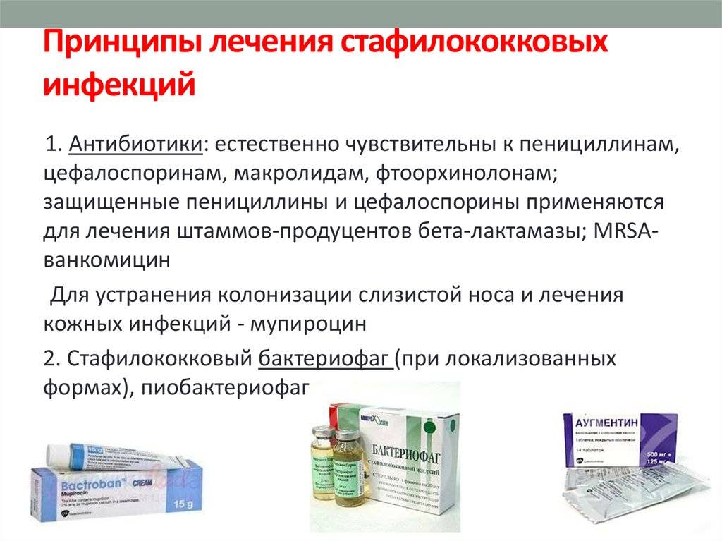 Стафилококк в носу, горле у взрослых. симптомы, фото, лечение в домашних условиях — medists.ru