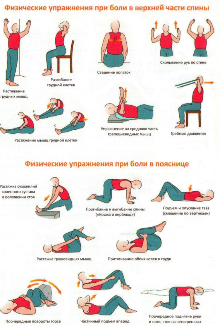 Гимнастика для спины при остеохондрозе: правила выполнения, комплексы упражнений