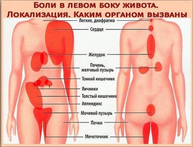 Болит низ живота у женщин (слева, справа, по центру): причины, диагностика, облегчение боли