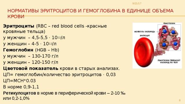 Лейкоциты повышены в крови: более 7 причин, лечение лейкоцитоза у ребенка, женщин и мужчин, как снизить уровень