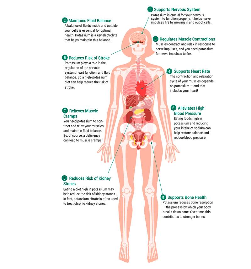 Симптомы недостатка калия в организме у женщин