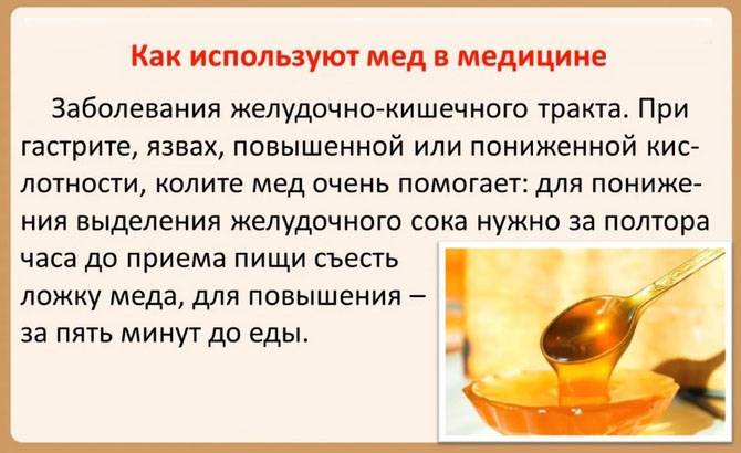 Алоэ при гастрите желудка, лечение соком с медом