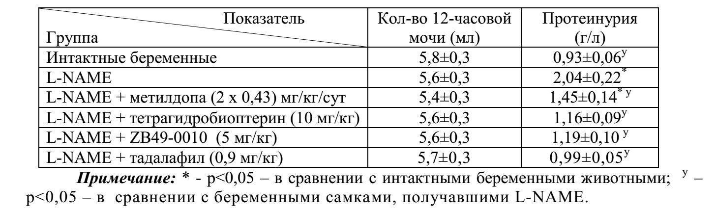 Норма белка в моче при беременности у женщины: таблица допустимой нормы белка в моче, граница содержания | mfarma.ru