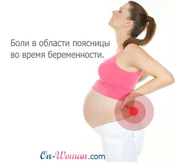 Болит поясница при беременности на раннем сроке, в первый месяц, в первом триместре , причины и признаки, какие заболевания усугубляются на ранних сроках