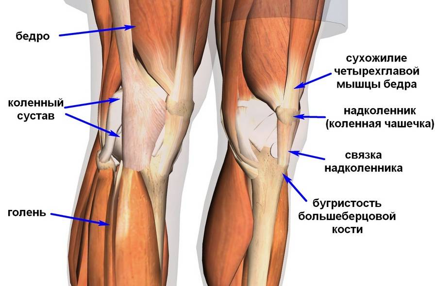 Боль в колене при сгибании и разгибании: почему возникает, диагностика, лечение