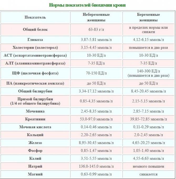 Общий анализ крови при беременности: норма, расшифровка : saluma.ru