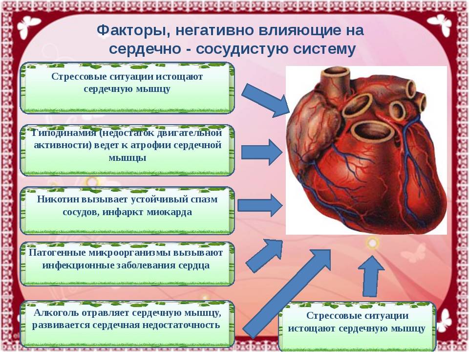 Является причиной сердечных заболеваний. Схема причины сердечно сосудистых заболеваний. Патология сердечно сосудистой системы схема. Заболевания сердца список. Заболевания сердечно-сосудистой системы таблица.