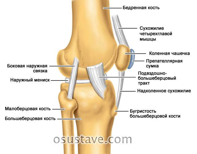 Почему болит колено с внутренней стороны?