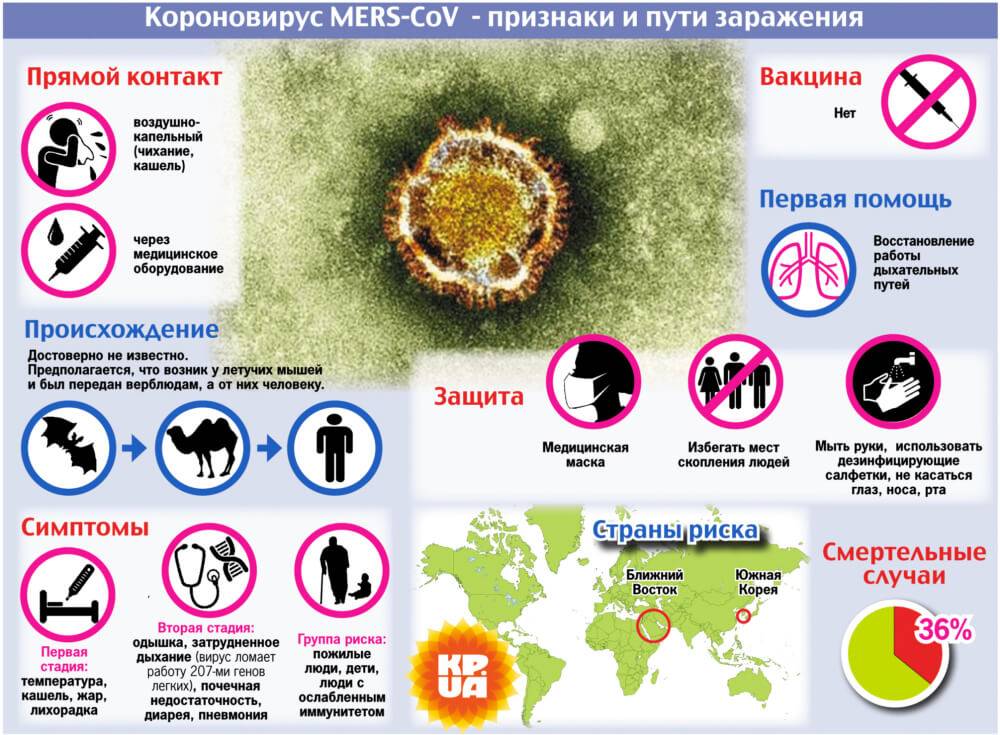 Симптомы коронавируса: как понять, что у вас не просто простуда?