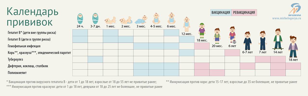 Сколько прививок. Прививки детям график по возрасту таблица Россия. Таблица прививок для детей с рождения до 3. График прививок для детей до года в России таблица. Календарь обязательных прививок до года.