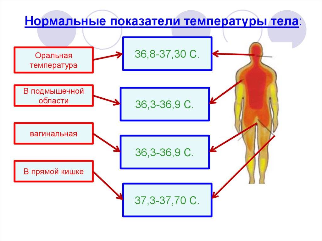Нормальная температура у человека вечером. Температурная норма человека тела. Температурные границы жизни человека (температура тела):. Какая нормальная температура у здорового человека. Показатели нормы температуры тела у взрослого.