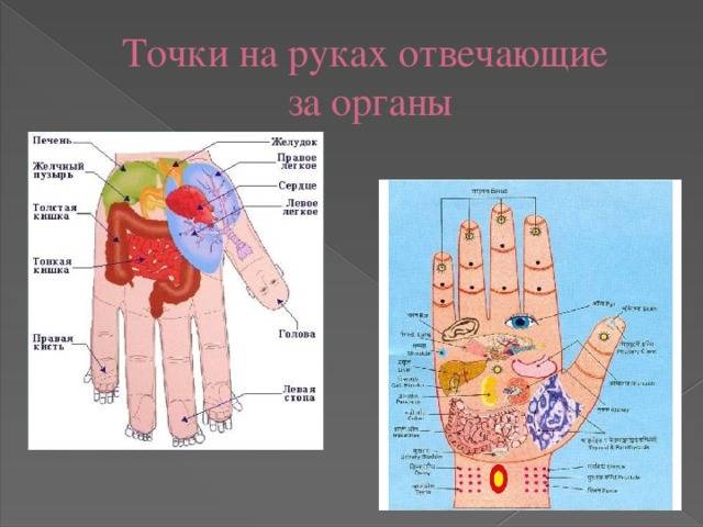 Пальцы на руках: взаимосвязь с энергетикой человека. какие пальцы на руках отвечают за психическое и эмоциональное состояние?