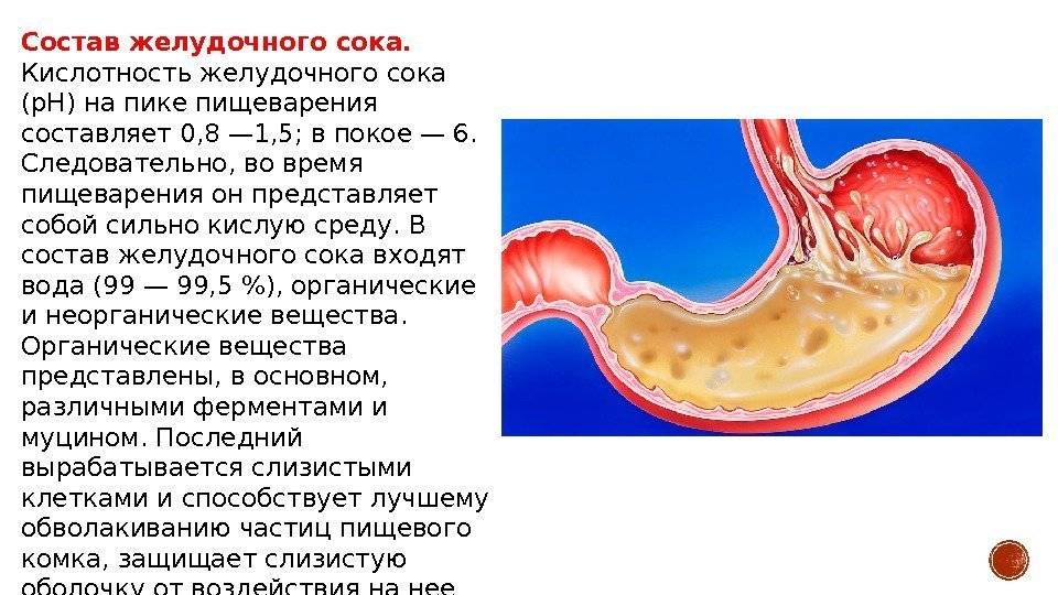 Симптомы повышенной кислотности желудка у взрослых
