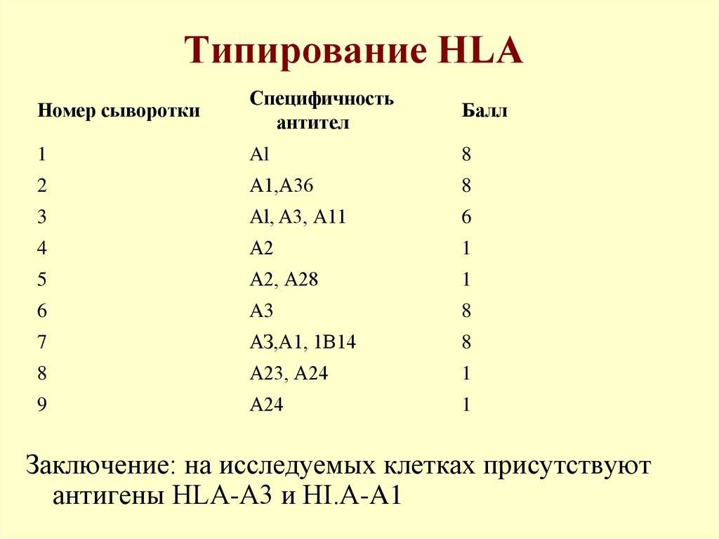 Анализ на совместимость супругов. HLA 1 класса. HLA(лейкоцитарные антигены у человека). HLA типирование а2 расшифровка. Типирование HLA антигенов.