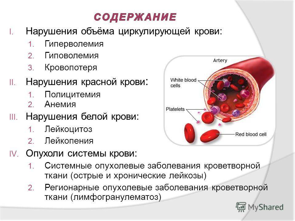 Причины повышенных лейкоцитов в крови у детей