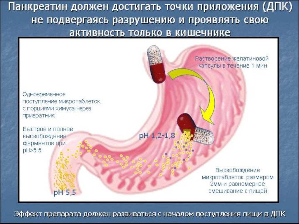 Диетическое питание при болезнях жкт: панкреатите и гастрите