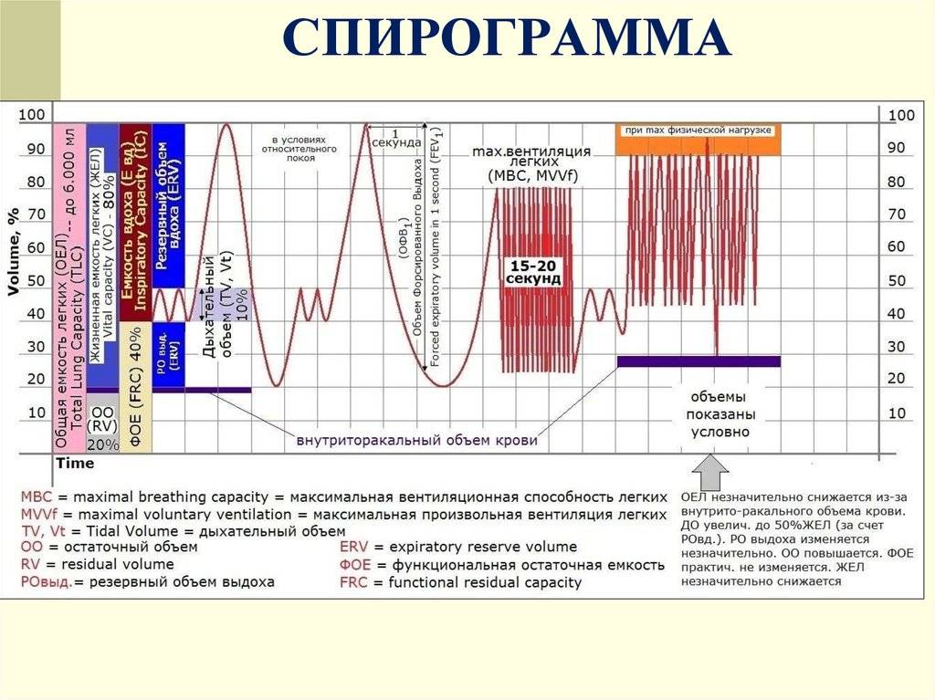 Спирометрия – вентиляционный тест с широким спектром действия