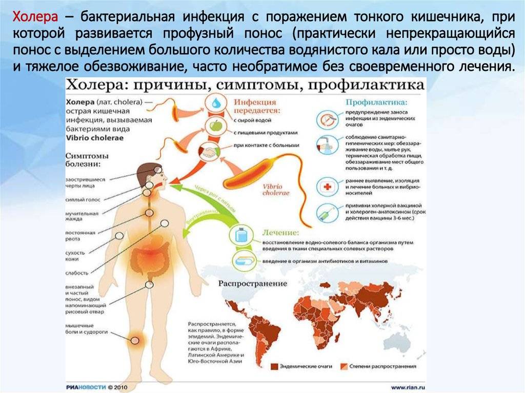 Академик РАН заявил о распространении холеры в зонах боевых действий