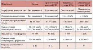 Норма ферритина в крови у женщин (таблица), причины повышения и снижения