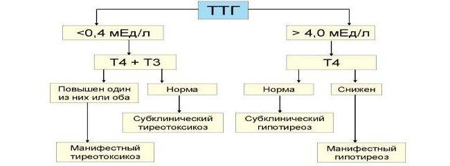 Т3 т4 повышен что это значит. Гипотиреоз при нормальном ТТГ т3 т4. Гормоны щитовидной железы ТТГ т3 т4 норма. ТТГ т3 т4 норма. Норма ТТГ И т4.