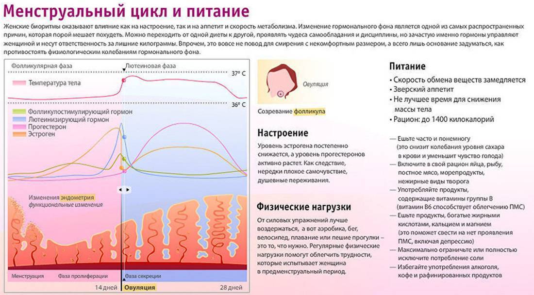 ᐉ повышенное слюноотделение причины у женщин при климаксе - sp-medic.ru